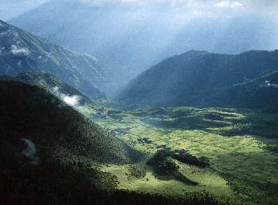 pozycjonowanie stron Pasym