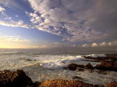 pozycjonowanie stron www Piła