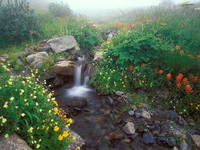 Piła sklepy internetowe