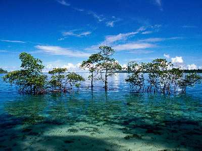 tworzenie stron internetowych Piła