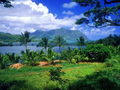 sklepy internetowe Pila