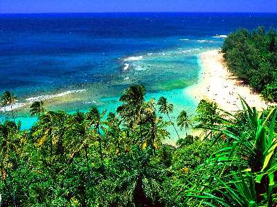 tworzenie stron internetowych Piła