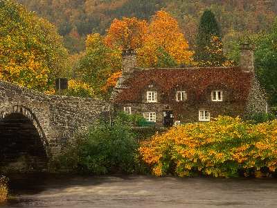 tworzenie sklepów internetowych Piła