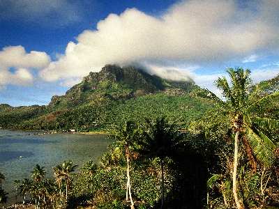 dobre pozycjonowanie Piła