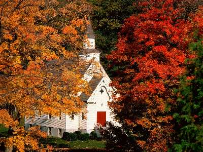 pozycjonowanie stron Sopot