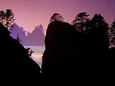 pozycjonowanie stron www Boguchwała