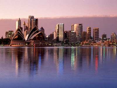 polecany sklep dla puszystych Poznań