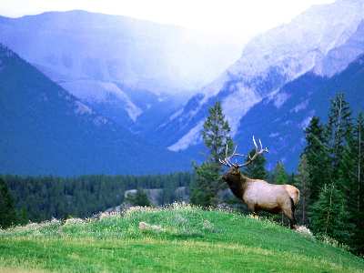 projektowanie stron Piła