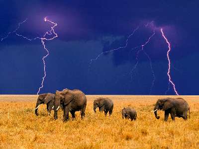 Piła strony internetowe