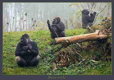 tworzenie sklepu www Piła