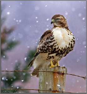 szkoła nurkowanie Piła