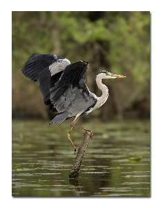 strony internetowe Inowrocław