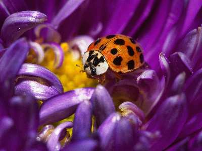 projektowanie stron www Piła