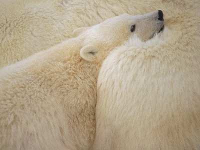 projektowanie stron internetowych Piła