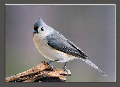 tworzenie sklepu internetowego Piła