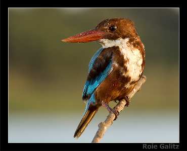 pozycjonowanie stron w Pile