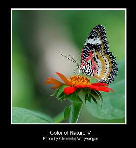 strony www Kępno ceny