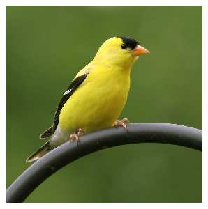 projektowanie sklepów www Wałcz