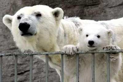 pozycjonowanie stron Pila