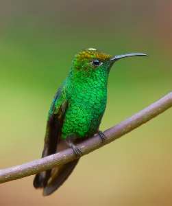 projektowanie stron Piła