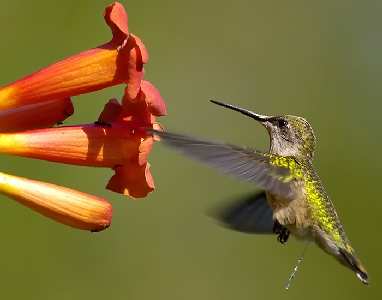 pozycjonowanie stron internetowych Trzebnica cennik