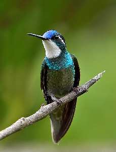 Piła pozycjonowanie stron www