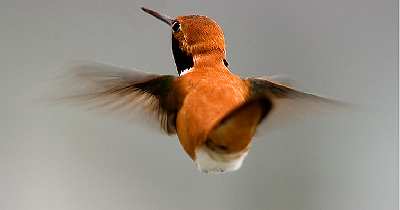 tworzenie stron Piła