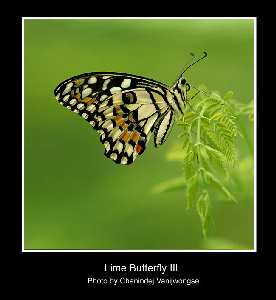 Krasnobród pozycjonowanie