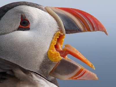 tworzenie sklepu www Trzcianka