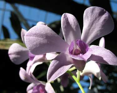 biuro architektoniczne projektowe Toruń