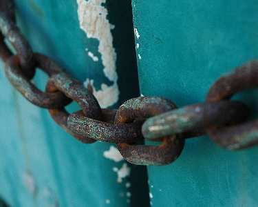 projektowanie stron www Piła