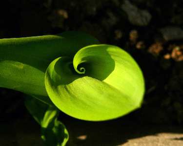 projektowanie stron internetowych Piła