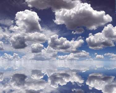 robienie stron internetowych w Pile