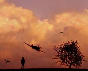 projektowanie sklepów www Piła