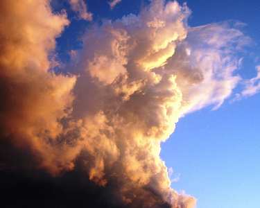 budowa stron www Goniądz