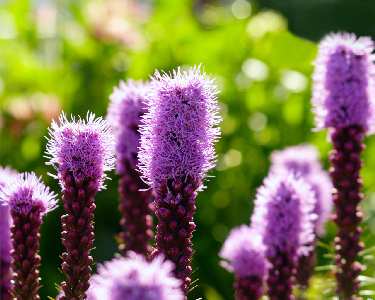 projektowanie sklepu www Trzcianka