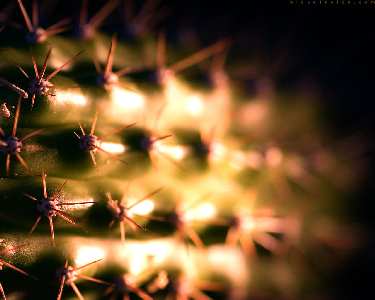 Radzymin projektowanie stron internetowych ceny