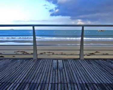 Piła strony internetowe