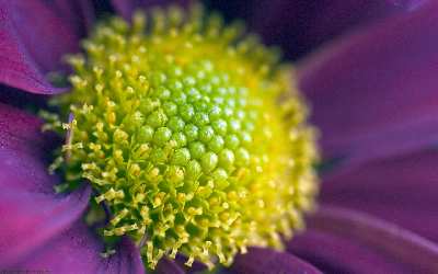 tworzenie stron internetowych Piła