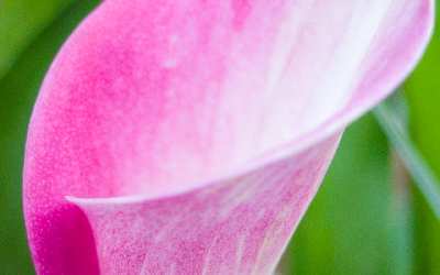 pozycjonowanie stron Gniezno