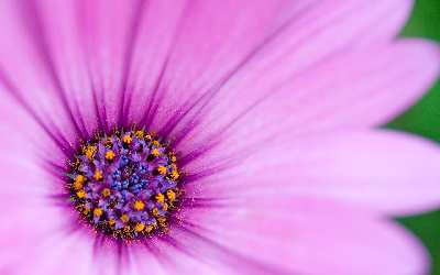 tworzenie stron internetowych Piła