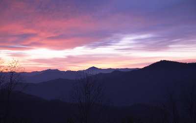 projektowanie sklepu www Piła