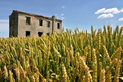 Kalwaria Zebrzydowska tworzenie stron www cena