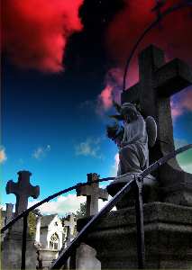 projektowanie stron www Piła