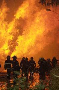 projektowanie sklepów www Piła