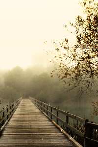 odzież dla puszystych Poznań