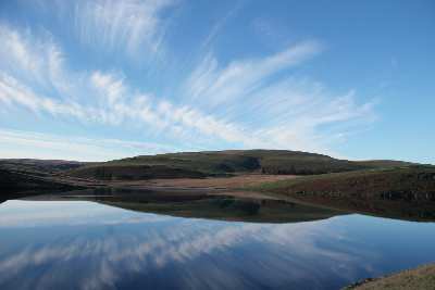 tworzenie stron www Piła