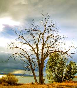 pozycjonowanie stron www w Pile