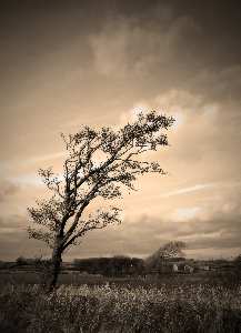 Susz pozycjonowanie stron