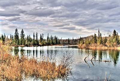 projektowanie stron www Piła